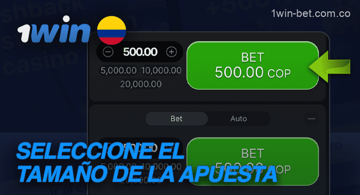 Seleccione un importe y realice una apuesta en el juego Aviator en 1win